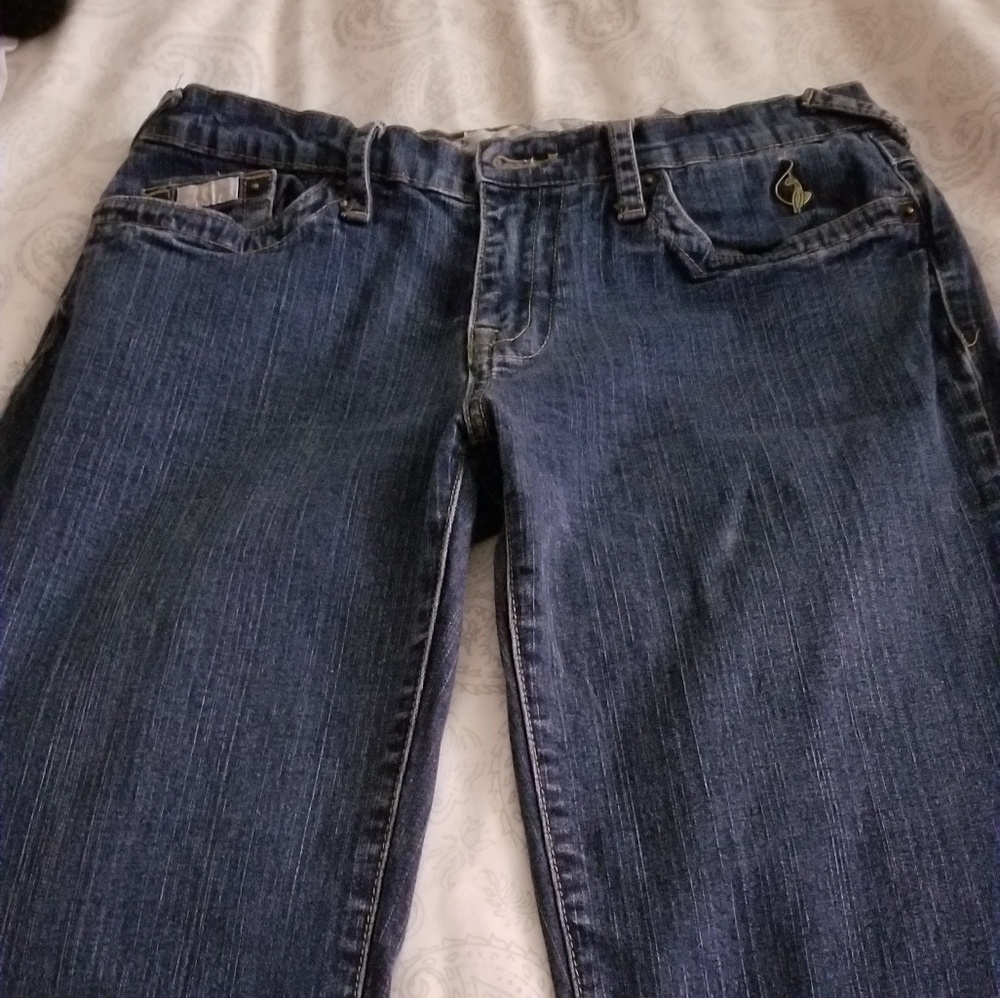Baby Phat Jeans